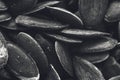 A black and white food background texture image of pumpkin seeds. Royalty Free Stock Photo