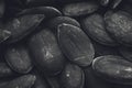 A black and white food background texture image of pumpkin seeds. Royalty Free Stock Photo