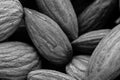 A black and white food background texture image of sunflower seeds. Royalty Free Stock Photo