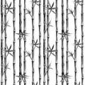Black and white bamboo seamless pattern