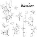 Black and white bamboo set. Vector hand-drawn contour illustration carved on a white background for your design