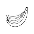 Black and white banana isolated on white background. Linear fruit for coloring book