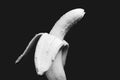 Black and white bannana