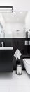 Black and white bathroom, vertical panorama Royalty Free Stock Photo