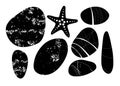 Black and white Beach pebbles, starfish set. Various shapes. Modern illustration in vector. Different shapes and