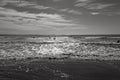 Black and white beach with silhouettes of people Royalty Free Stock Photo