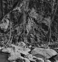 creepy canyon images with old grass and some stones