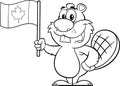 Black And White Beaver Cartoon Mascot Character Holding A Canadian Flag Royalty Free Stock Photo