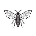 Black And White Bee Illustration: Clean And Simple Design With Eerie Symbolism