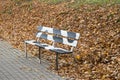 A black and white bench in an autumn park Royalty Free Stock Photo