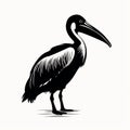 Black And White Bird Design: Stylized Realism Art From Ivory Coast