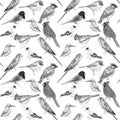 Black and white birds against white background seamless artwork