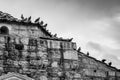 Black and white birds sitting on a stone house Royalty Free Stock Photo