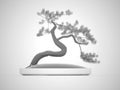 Black and white bonsai