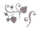 Black and white botanical elements, branch with berries and leaves, fresh sprouts.