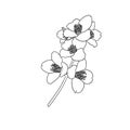 Black and white branch flower jasmine outline isolated on background. Hand-draw contour line and strokes branch flowers. Design Royalty Free Stock Photo