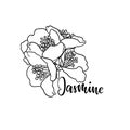 Black and white branch flower jasmine outline isolated on background with word jasmine. Hand-draw contour line and strokes branch