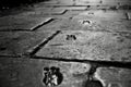 Black and white brick walkway with small footprints, Marked with small footprints Royalty Free Stock Photo