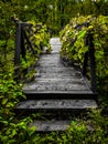 Mystic bridge covered in green foliage