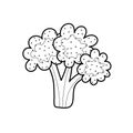 Black and white broccoli isolated on white background. Linear vegetable for coloring book