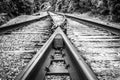 Black & White brown diverging Railroad Tracks. Royalty Free Stock Photo