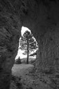 Black and White Bryce Canyon Royalty Free Stock Photo