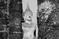 Black and White Buddha statue Royalty Free Stock Photo