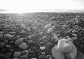 Black and white bunch Grey Stones which is one in heart shaped at a beach in South Island New Zealand. Royalty Free Stock Photo