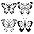 Black white butterflies wing patterns butterfly insect Royalty Free Stock Photo