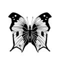 Black and white butterfly on white background