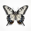 Black And White Butterfly Illustration: Minimal Retouching With Hyperrealistic Precision