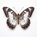 White Admiral Butterfly: A Stunning Artistic Representation