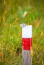 A black and white butterfly on red and white pillar in a field. Ecological meditation. Alpine lepidoptera insect in