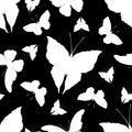 Black and white butterfly seamless pattern. Tropical, jungle and forest colorful insects in hand drawn digital style