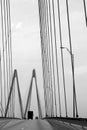 Black and white cable bridge in Texas