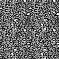 Monochrome black white camouflage background with animal skin leopard seamless pattern. Jaguar, leopard, cheetah, panther fur Royalty Free Stock Photo