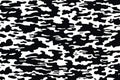 Black and white camouflage repeats seamless. Masking camo. Classic clothing print. monochrome seamless pattern Royalty Free Stock Photo