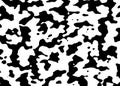 Black and white camouflage