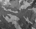 black and white Camouflage textile cloth texture Royalty Free Stock Photo