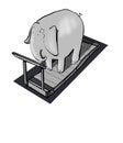 Elephant on Treadmill