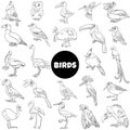 Black and white cartoon birds species animal characters big set