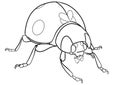 Black and White Cartoon Illustration of Cute Beetle Insect