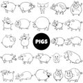 Cartoon pigs farm animal characters big set coloring page Royalty Free Stock Photo