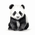 Realistic Portrait Drawing Of Baby Panda Bear