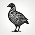 Unique Character Design: Graphic Design Of Black Pendulous Guinea Fowl Royalty Free Stock Photo