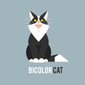 Black and white Cat in a flat style on a blue background. Royalty Free Stock Photo