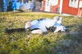 Black and white cat lying on grass Royalty Free Stock Photo
