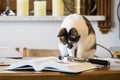 Black and white cat next to a book