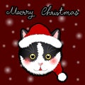 Black White Cat Santa Claus. on Snow Red Greeting Card. Vector Illustration Royalty Free Stock Photo