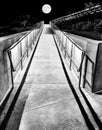 Black and White Cement Walkway with Railings